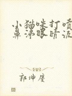 小猫咪打喷嚏流鼻涕眼睛流分泌物