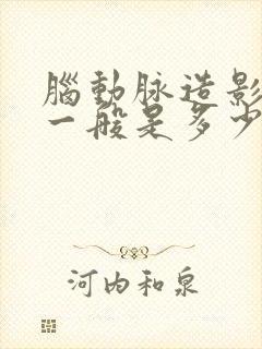 脑动脉造影价格一般是多少钱