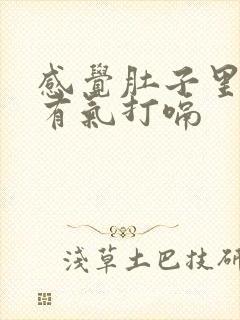 感觉肚子里一直有气打嗝封面