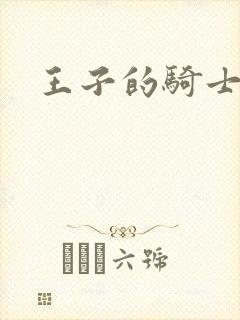 王子的骑士小说