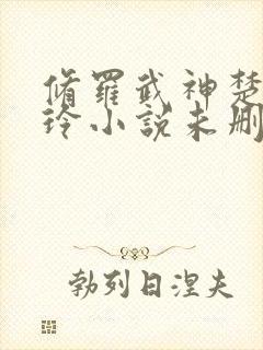 修罗武神楚枫紫玲小说未删版封面