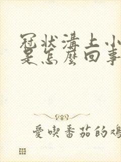 冠状沟上小疙瘩是怎么回事