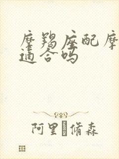 摩羯座配摩羯座适合吗