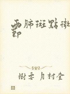 两肺斑点微小结节