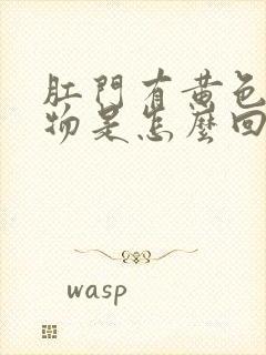 肛门有黄色分泌物是怎么回事