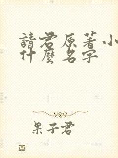 请君原著小说叫什么名字封面