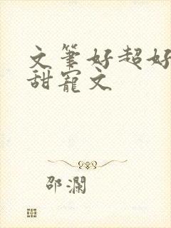 文笔好超好看的甜宠文封面