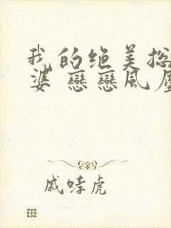 我的绝美总裁老婆 恋恋风尘