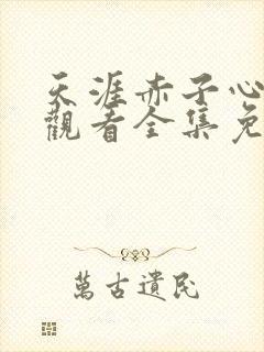 天涯赤子心在线观看全集免费播放