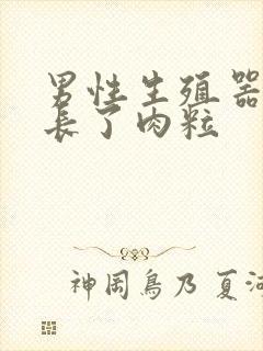 男性生殖器里面长了肉粒