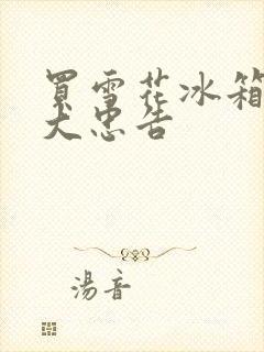 买雪花冰箱的十大忠告封面