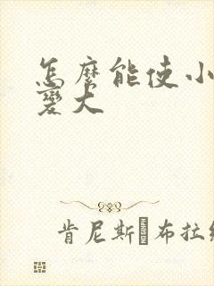 怎么能使小弟弟变大