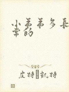 小弟弟多长是正常的