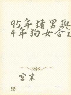 95年猪男与94年狗女合适吗