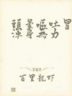 头晕呕吐冒虚汗浑身无力封面