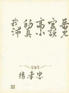 我的高官岳母苏沛真小说免费阅读