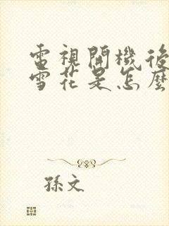 电视开机后屏幕雪花是怎么回事?