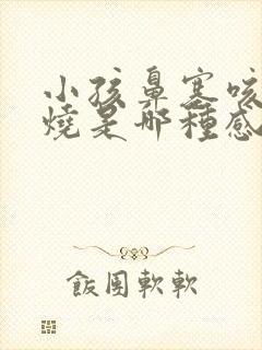 小孩鼻塞咳嗽发烧是哪种感冒封面