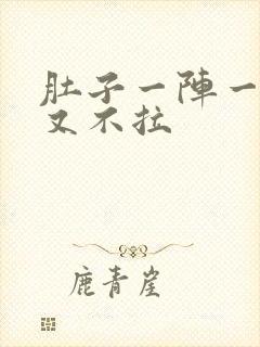 肚子一阵一阵痛又不拉