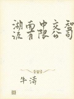 湖南中交智运物流有限公司