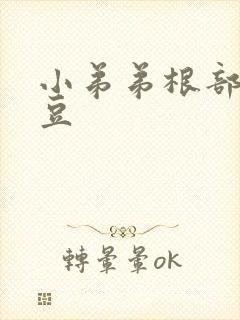 小弟弟根部长豆豆封面