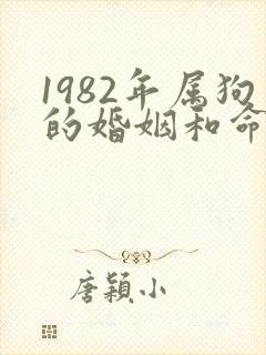 1982年属狗的婚姻和命运