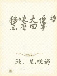 猫咪大便带血是怎么回事