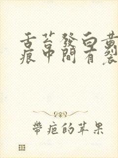 舌苔发白黄有齿痕中间有裂纹怎么回事