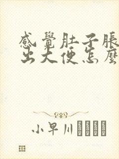 感觉肚子胀拉不出大便怎么办