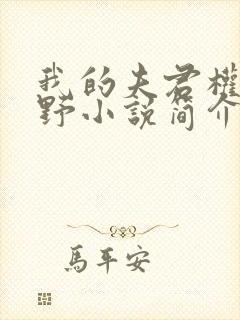 我的夫君权倾朝野小说简介封面