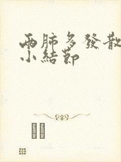 两肺多发散在微小结节