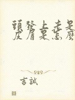 头发上老是有头皮屑是怎么回事