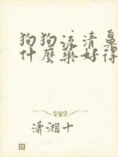 狗狗流清鼻涕吃什么药好得快