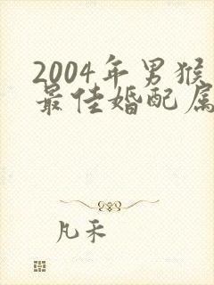 2004年男猴最佳婚配属相封面