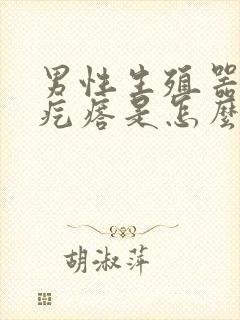 男性生殖器长小疙瘩是怎么回事