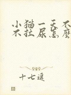 小猫一天不拉屎不拉尿怎么办封面