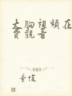 大胸视频在线免费观看