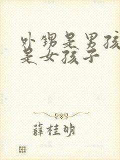 外甥是男孩子还是女孩子