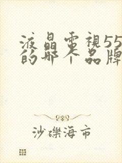 液晶电视55寸的哪个品牌的好