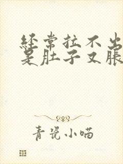 经常拉不出屎但是肚子又胀