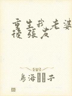 重生我老婆是天后 张友封面