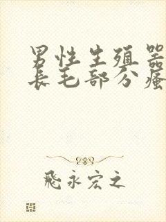 男性生殖器根部长毛部分瘙痒怎么回事