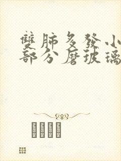 双肺多发小结节部分磨玻璃结节