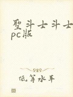 圣斗士斗士之魂pc版