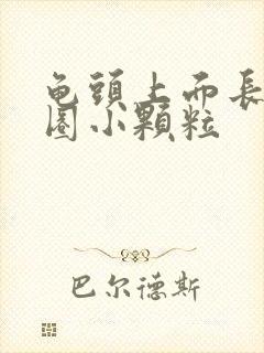 龟头上面长了一圈小颗粒