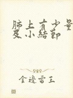 肺上有少量斑点及小结节