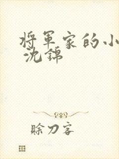 将军家的小娘子 沈锦