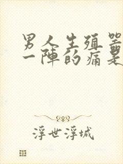 男人生殖器一阵一阵的痛是怎么回事