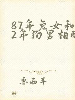 87年兔女和82年狗男相配婚姻如何