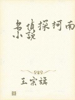 名侦探柯南黄版小说